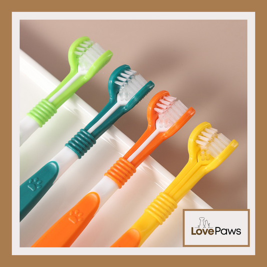Pet Toothbrush