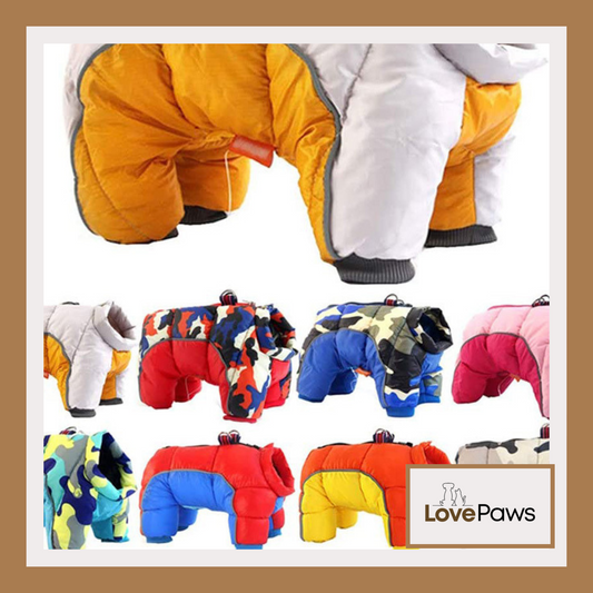 Pet Dog Winter Down Jacket