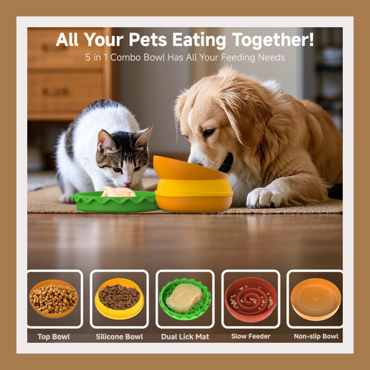 Hamburger-Style Pet Bowl Set