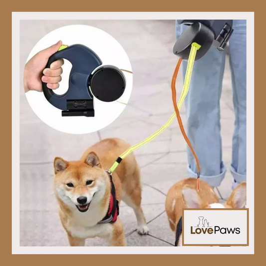 Dual Retractable Dog Leash