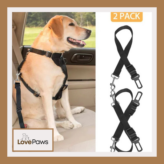 2Pcs Pet Dog Seat Belt Leash