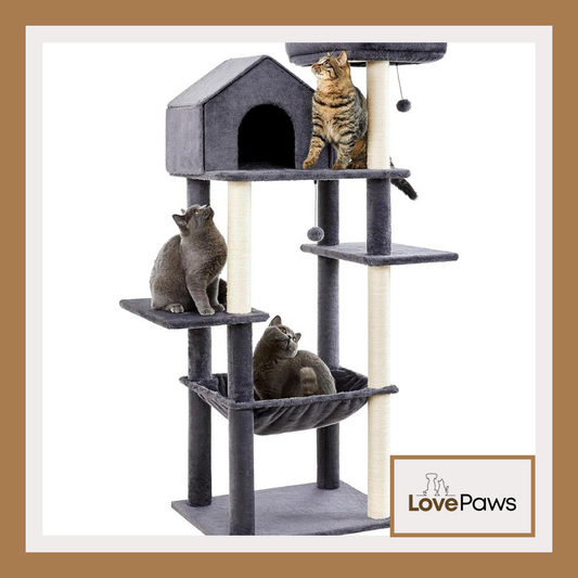 60-Inch Multi-Level Cat Tree