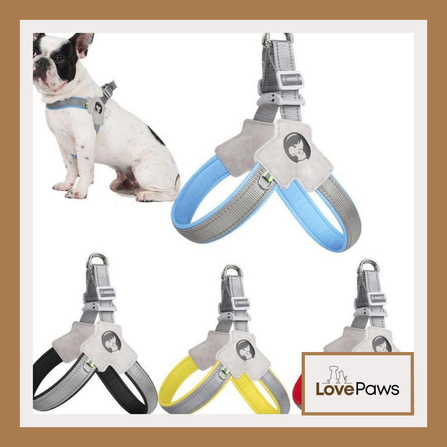 Adjustable Pet Harness & Leash Set