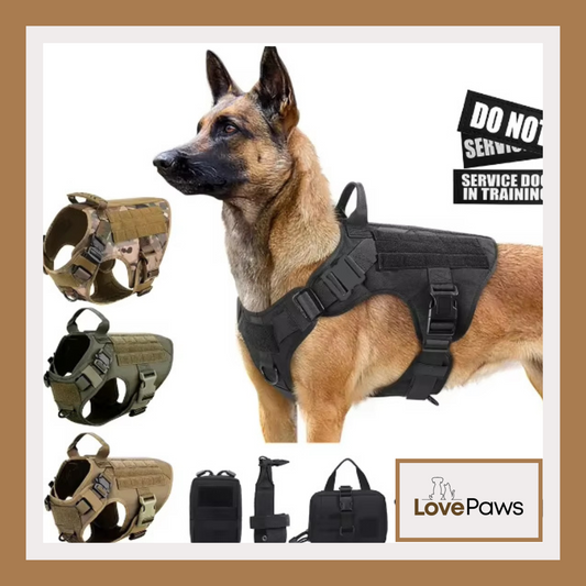Tactical Dog Harness & Leash Set