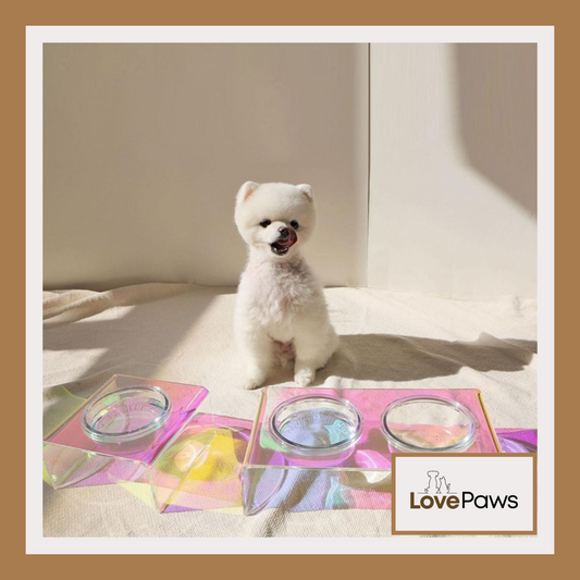 Acrylic Pet Dazzling Bowl