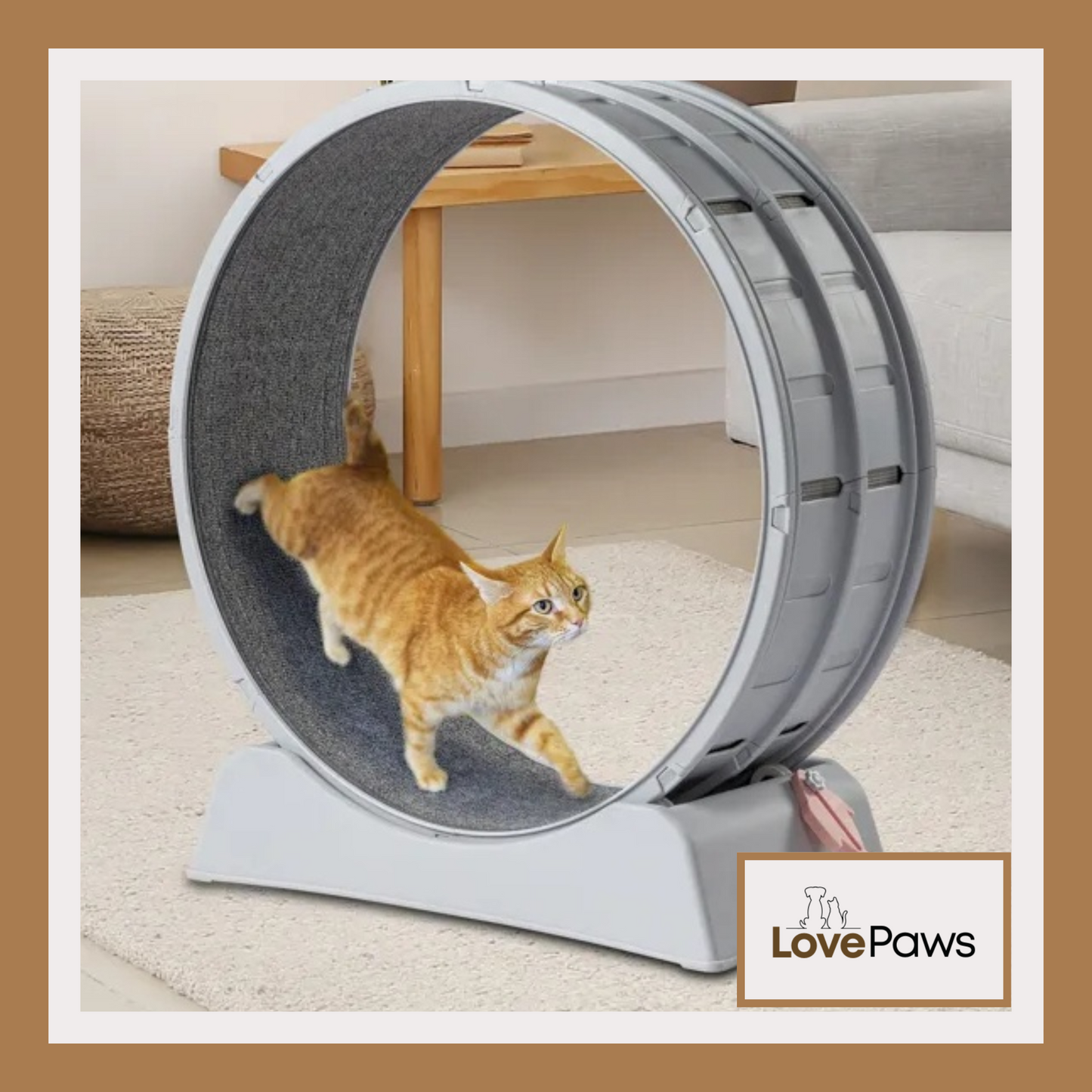 Cat Exercise Wheel