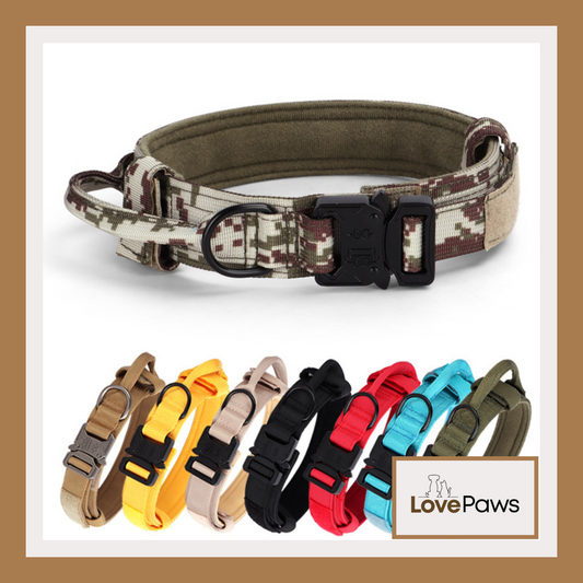 Tactical Dog Collar