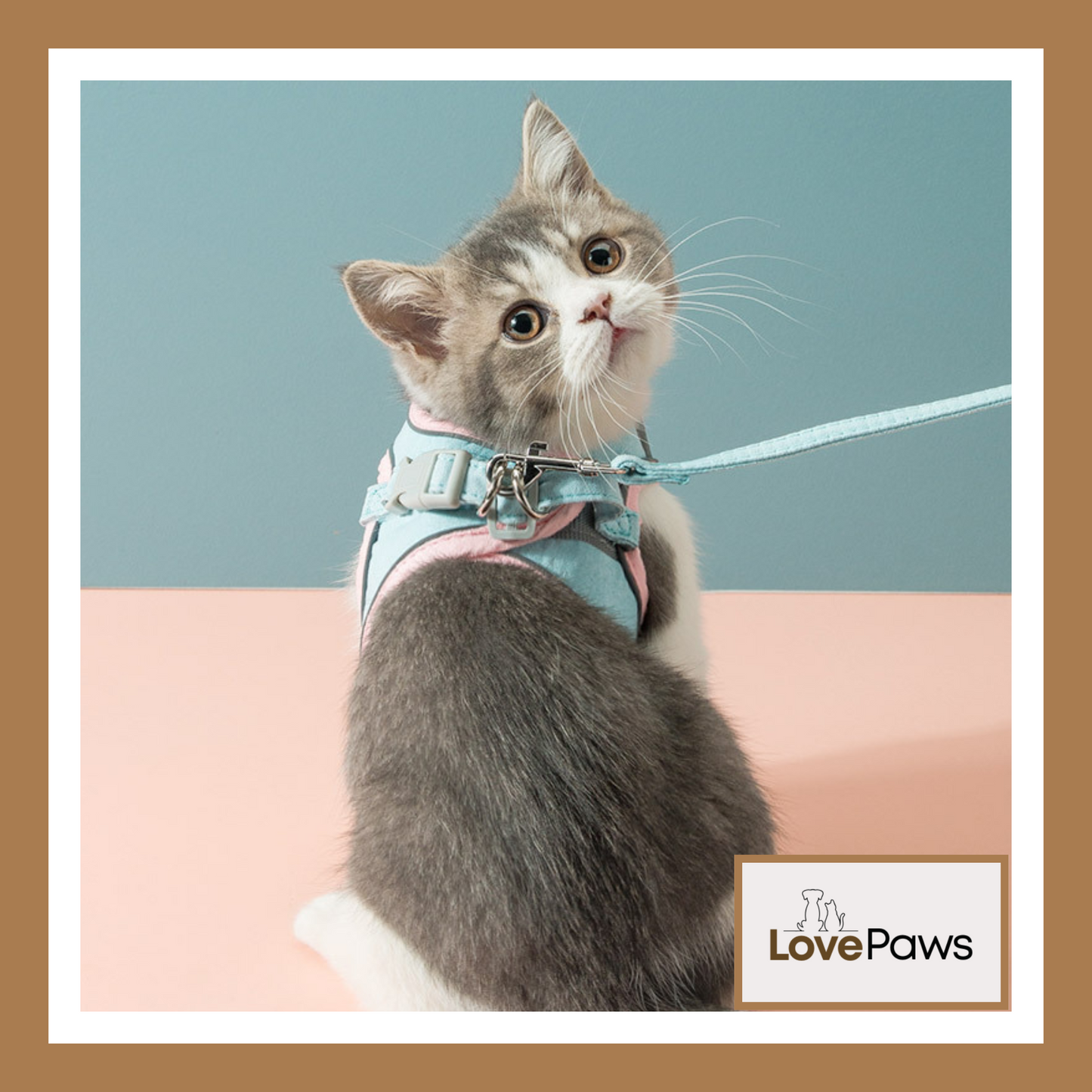 Cat Traction Rope Chest Strap