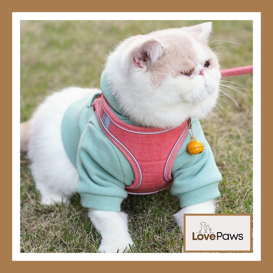 Vest-Style Cat Harness with Leash