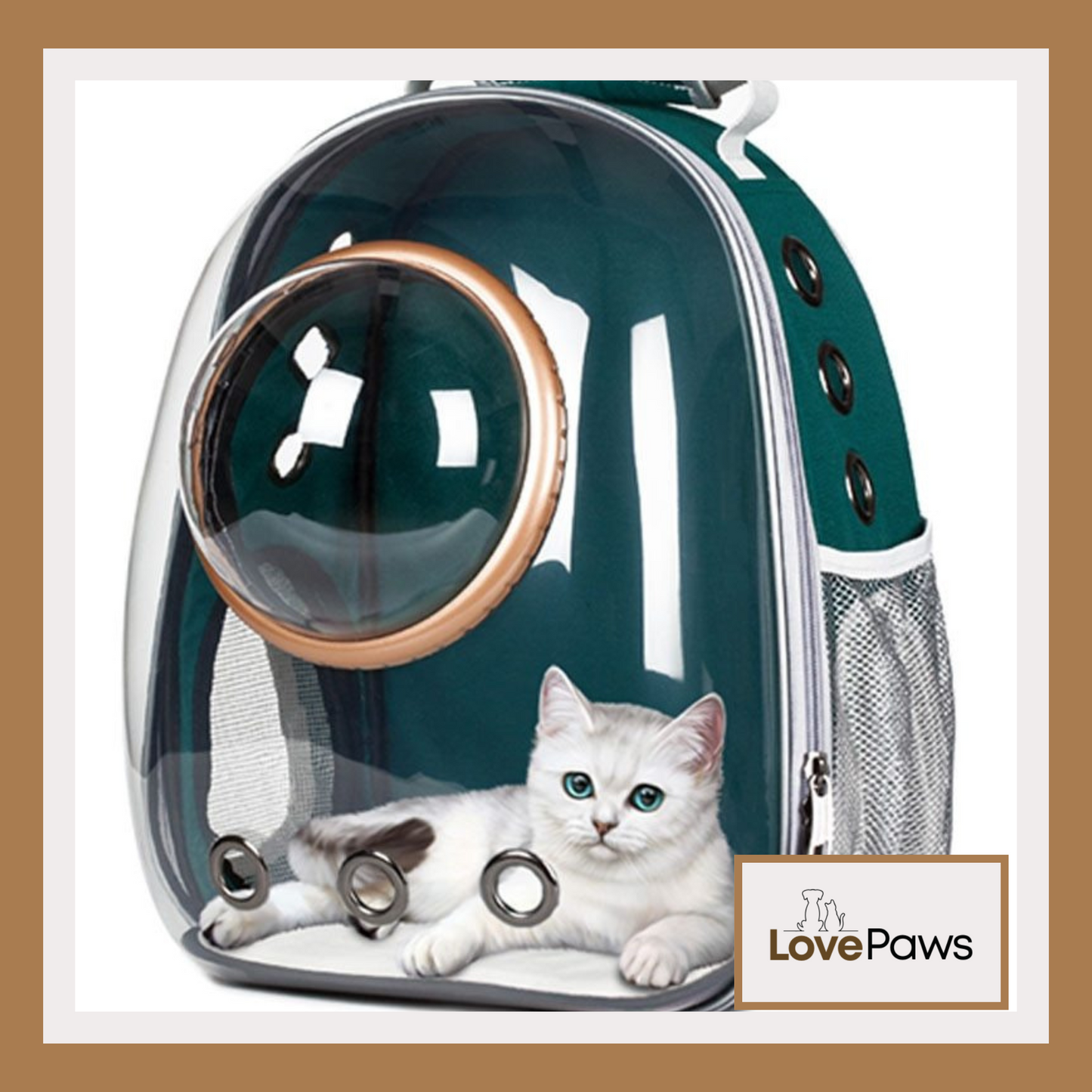 Full-Transparent Cat Space Backpack
