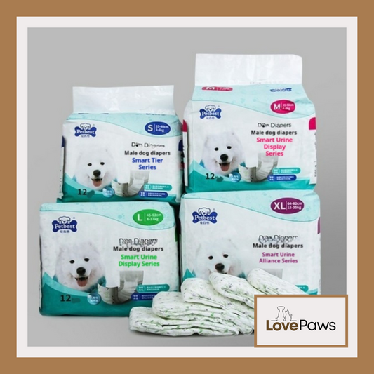 Male Dog Diaper