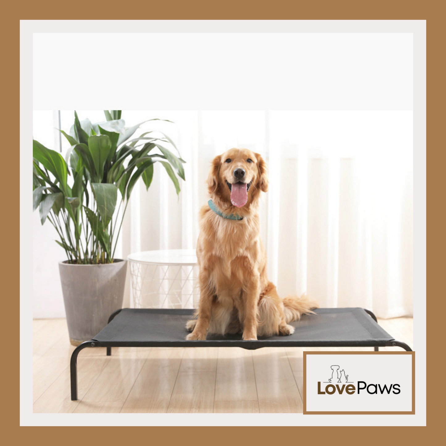 Removable & Washable Elevated Pet Bed