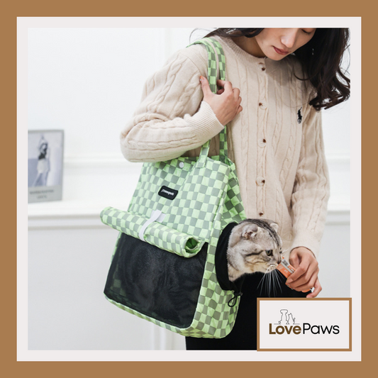 Portable Cat Bag