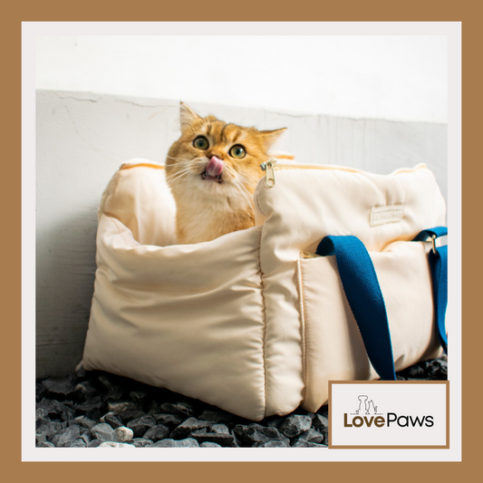 Portable Cat Bag