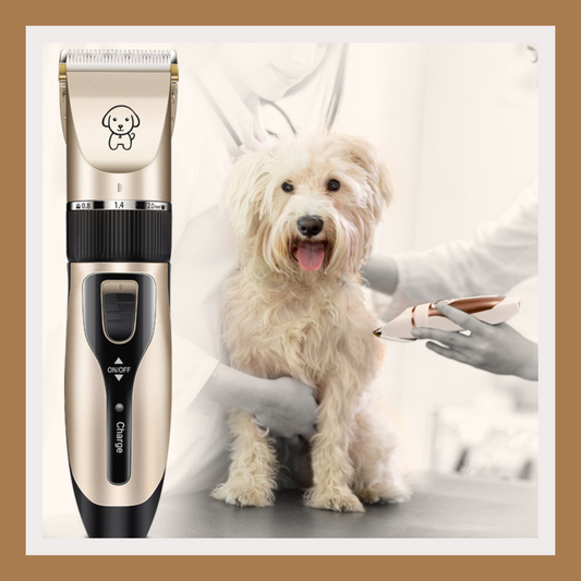 Professional Shaver for Dogs & Cats