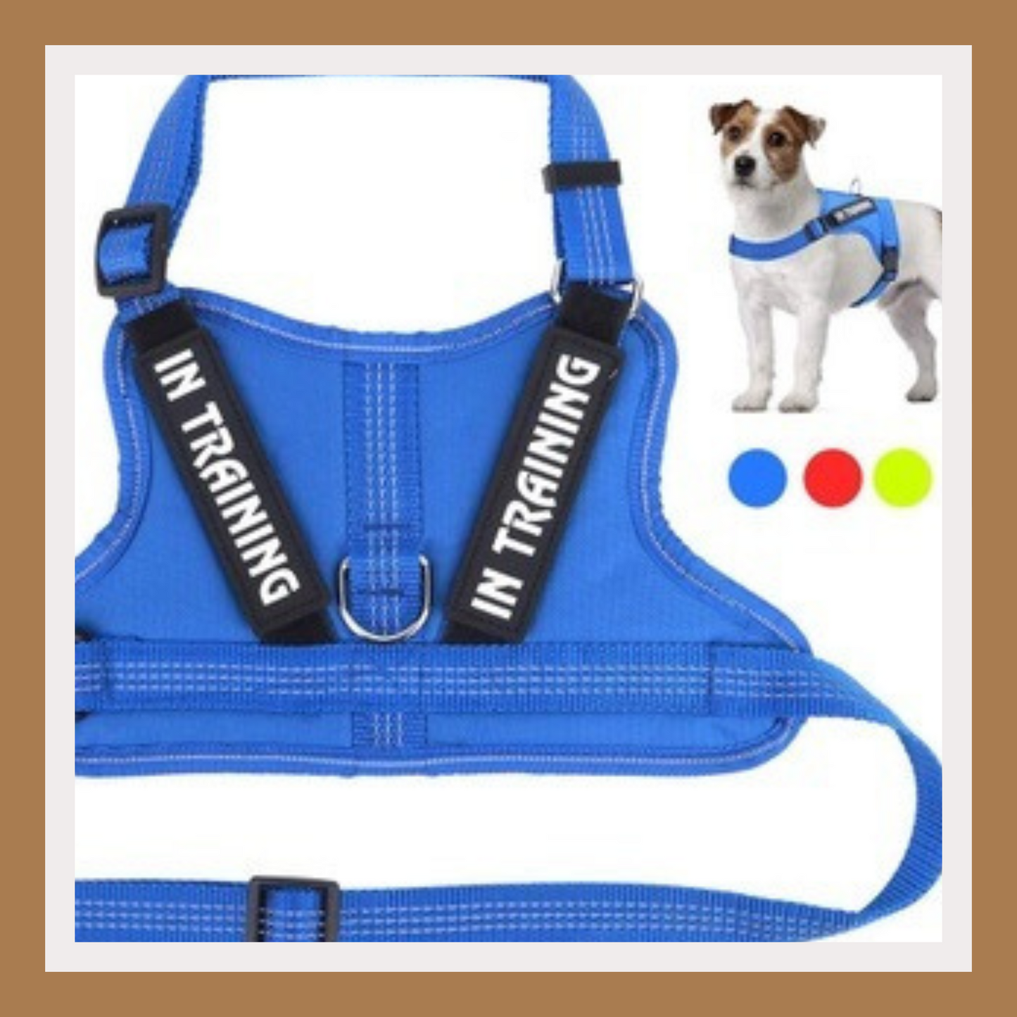 Personalized Pet Harness