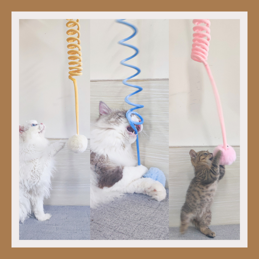 Self-Suction Spring Rabbit Hair Ball Cat Toy