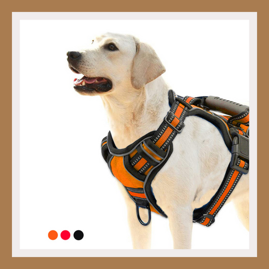 No-Pull Reflective Dog Harness