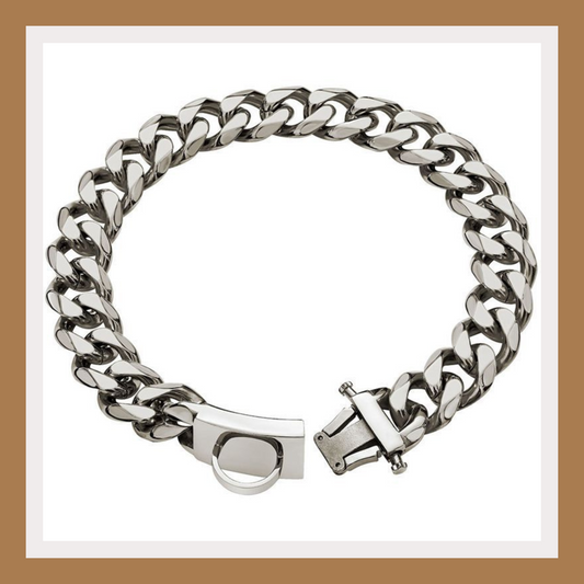 Heavy-Duty Stainless Steel Dog Collar