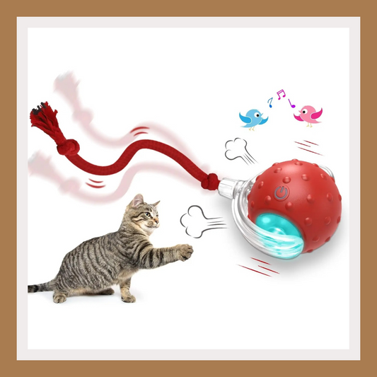 Interactive Cat Toy Ball