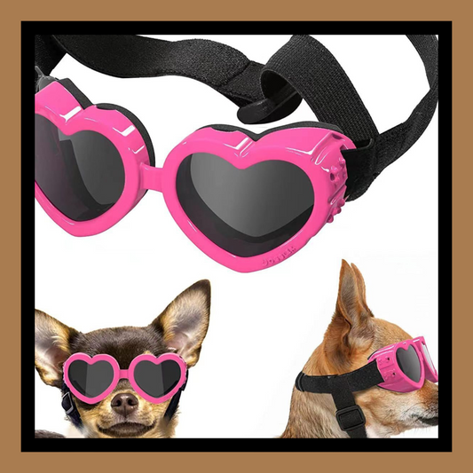 Pet Glasses