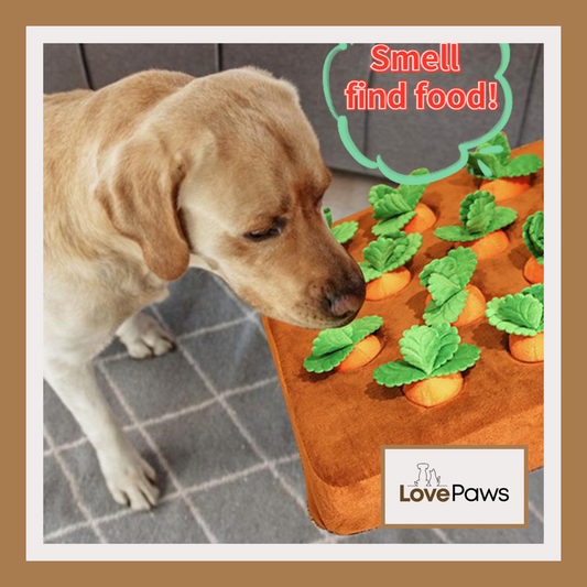 Carrot Snuffle Mat Toy
