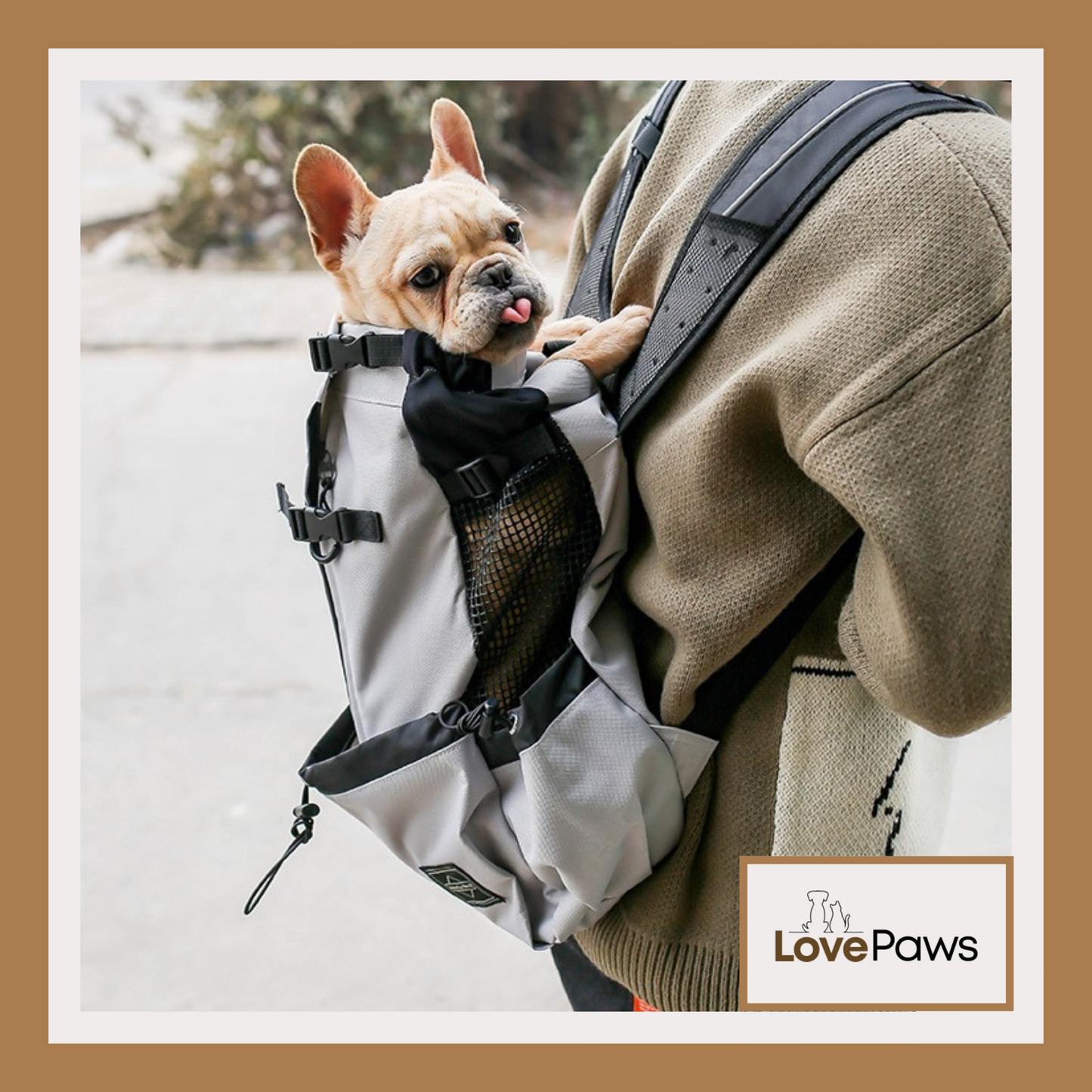 Double Shoulder Dog Carrier Backpack