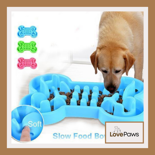 Anti-Choke Travel Slow Feeder Bowl for Dogs