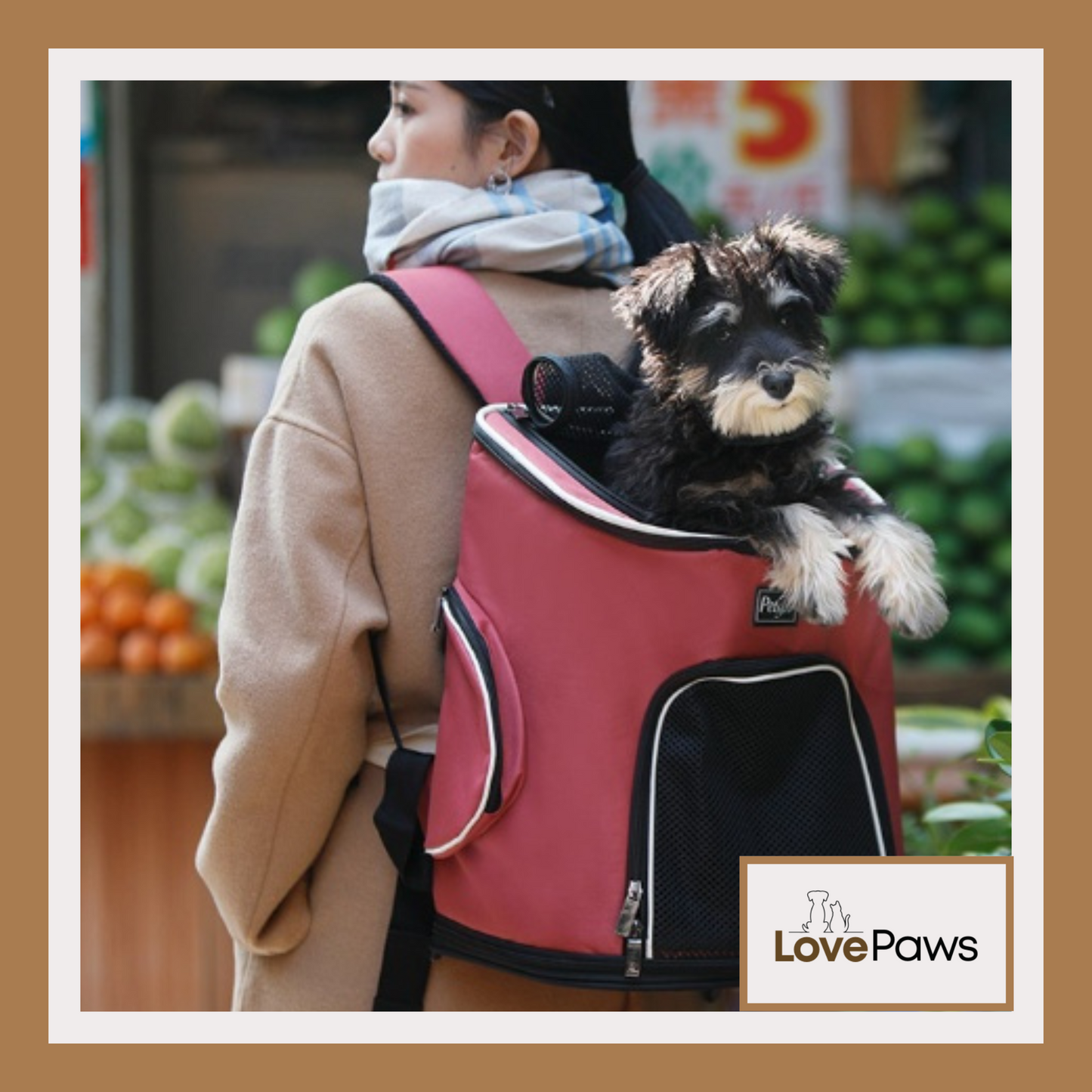 Pet Dog Backpack