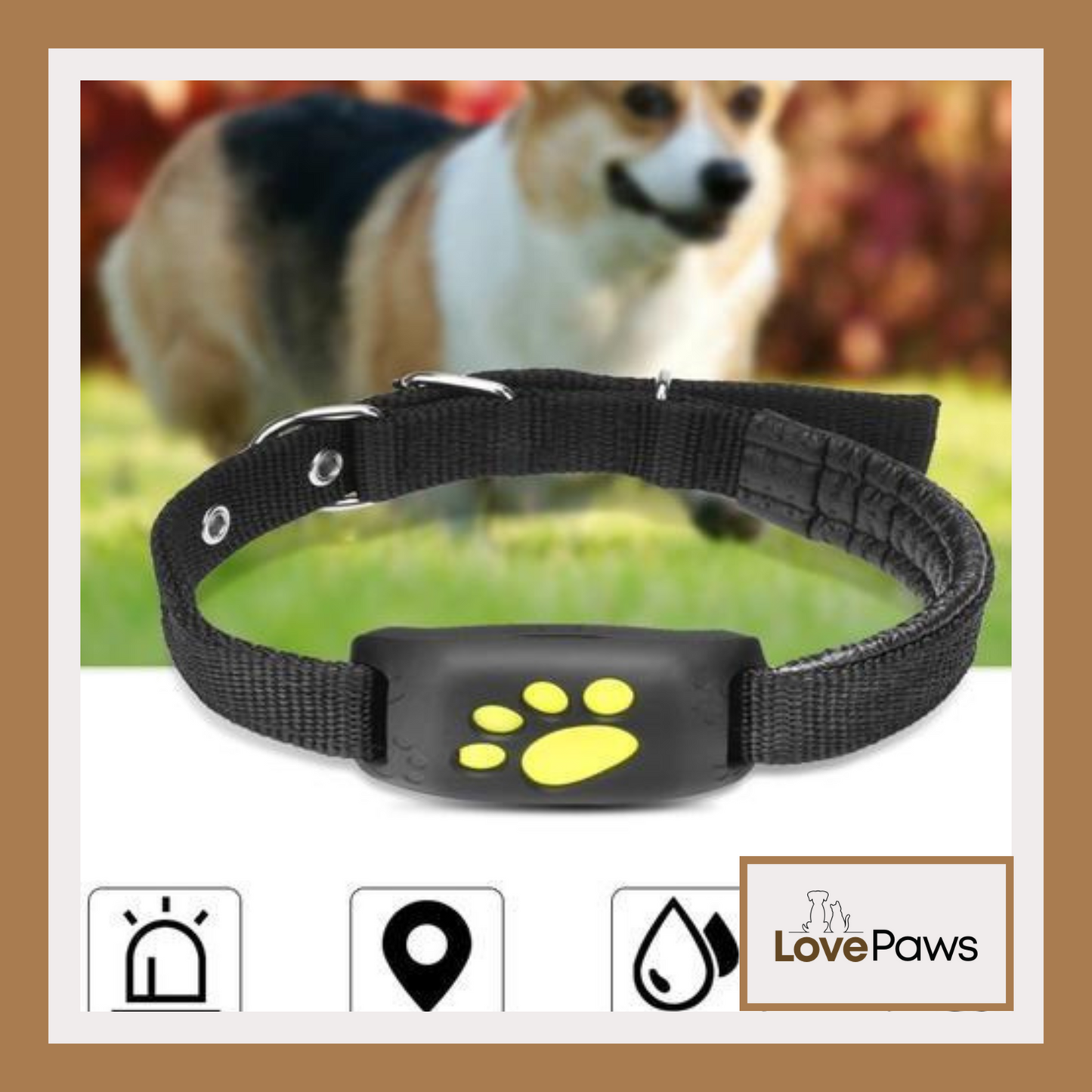 GPS Pet Tracker