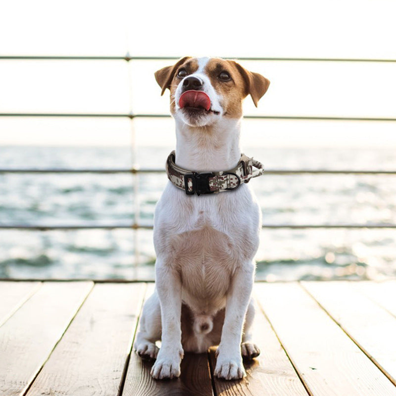 Tactical Dog Collar