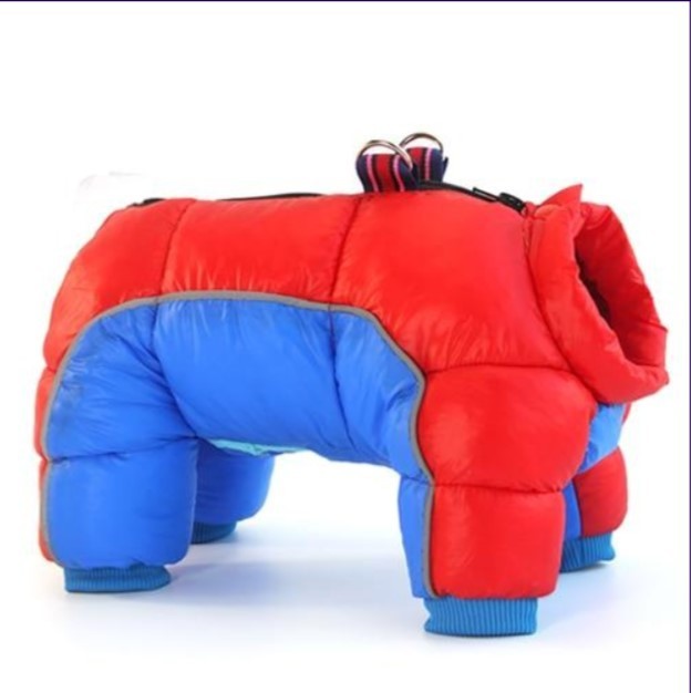 Waterproof Cotton Coat for Small Dogs