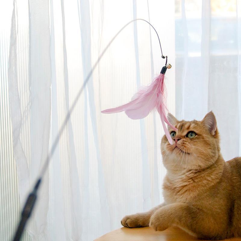 Retractable Cat Teaser Wand & Laser Toy