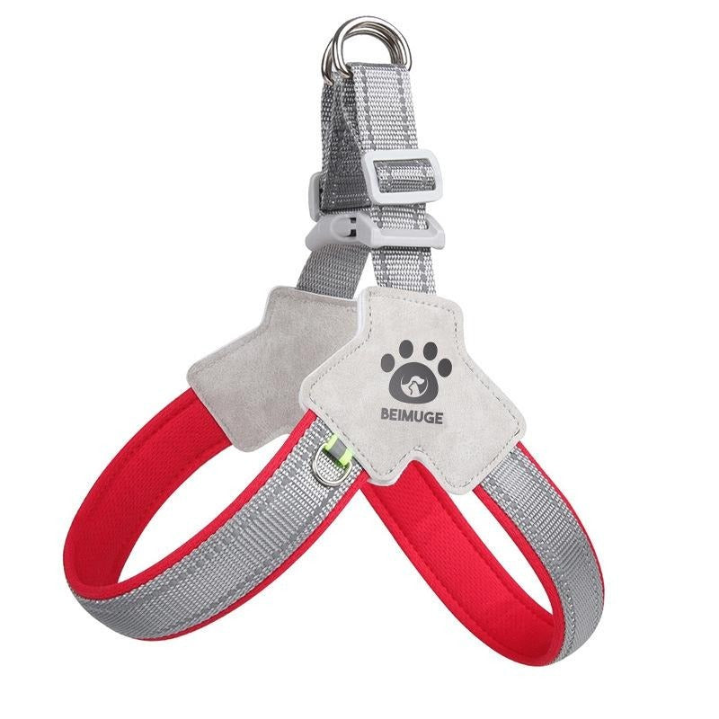 Adjustable Pet Harness & Leash Set