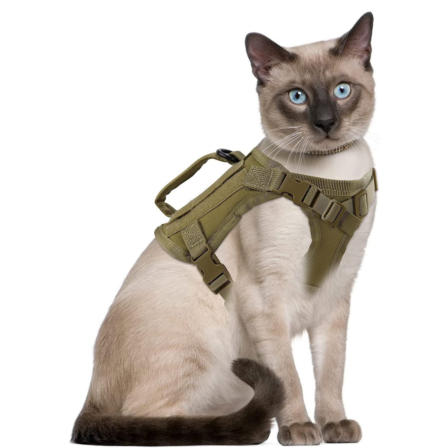 Cat Chest Strap Vest with Leash
