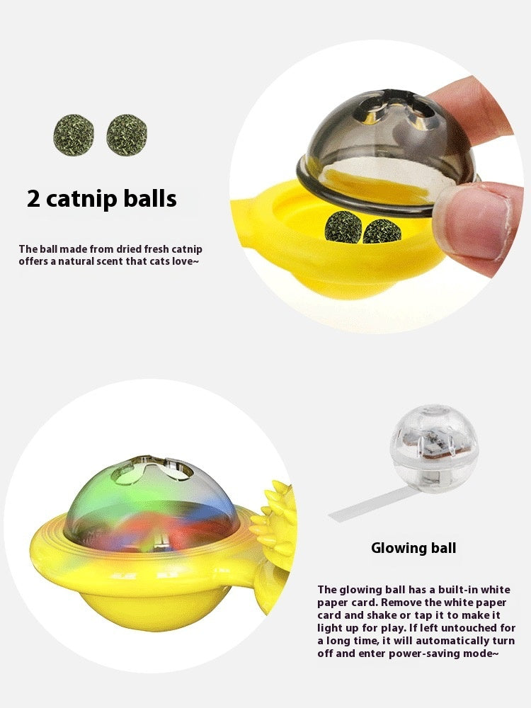 Cat Entertainment Set