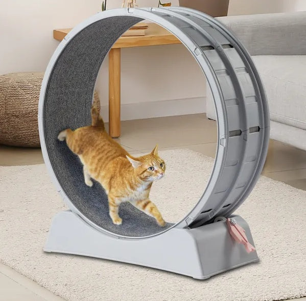 Cat Exercise Wheel
