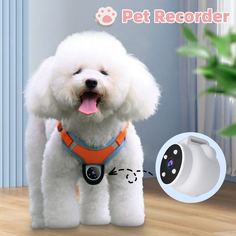Pet Tracker Collar with Camera – GPS