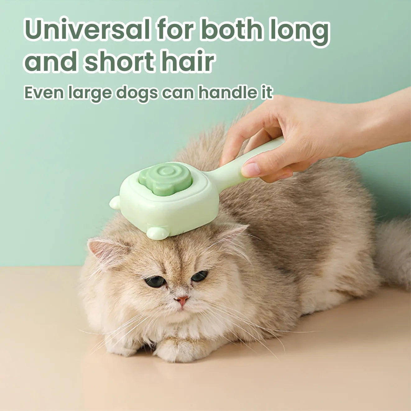 Pet Spray Comb