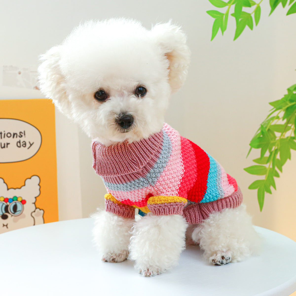 Colorful Striped Pet Sweater