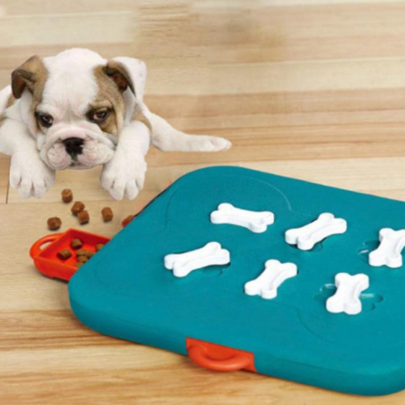 Interactive Pet Casino Puzzle Toy