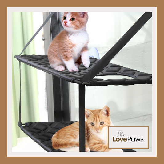 Window Cat Hammock