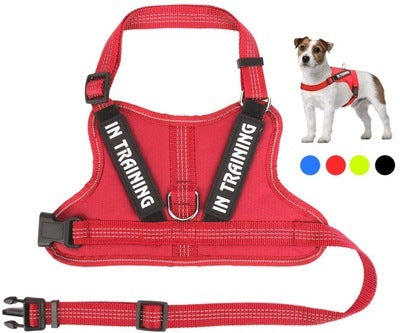 Personalized Pet Harness
