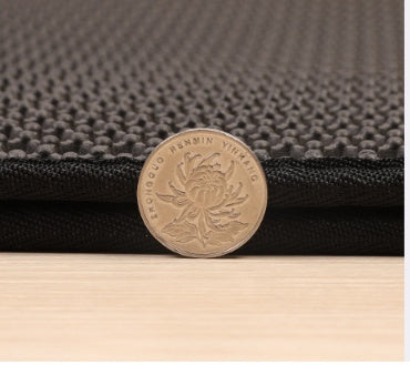 Double-Layer Cat Litter Mat