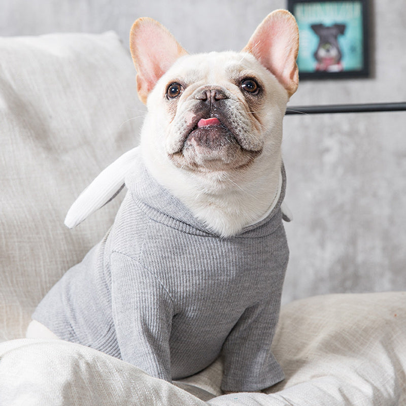Cozy Spring & Autumn Dog Sweater