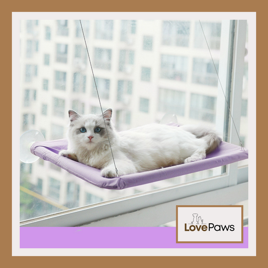 Cat Window Hammock – Hanging Bed