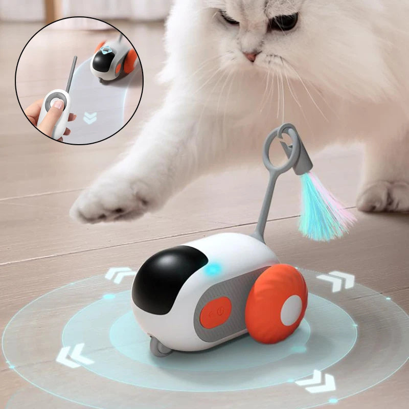Crazy-Joy Remote Control Cat Car