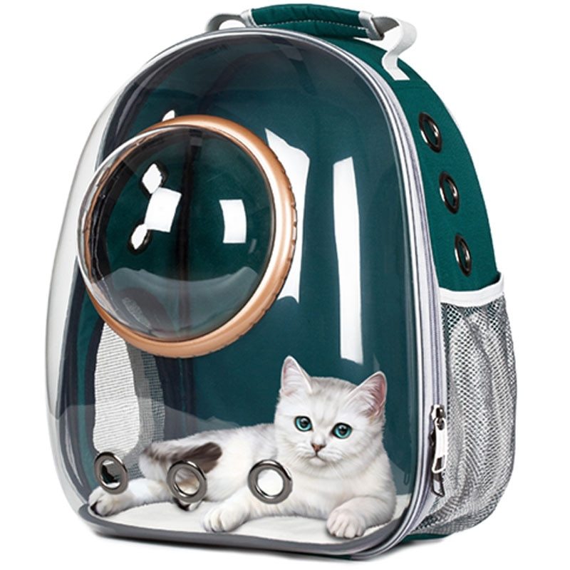 Full-Transparent Cat Space Backpack