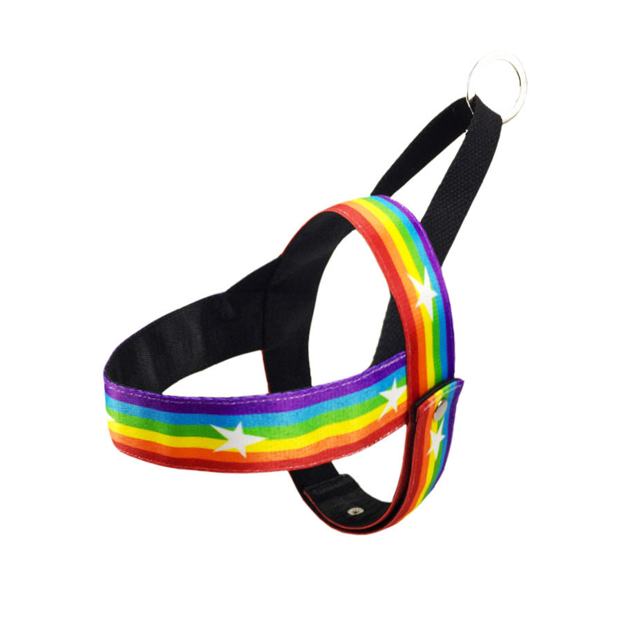 Rainbow Cool Dog Chain & Leash Set