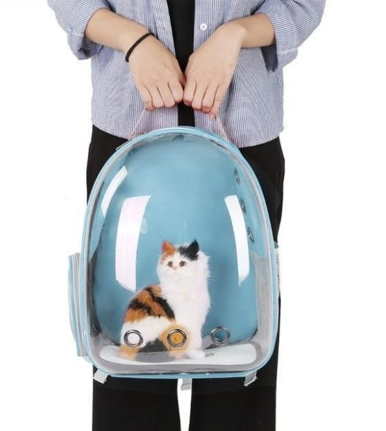 Full-Transparent Cat Space Backpack